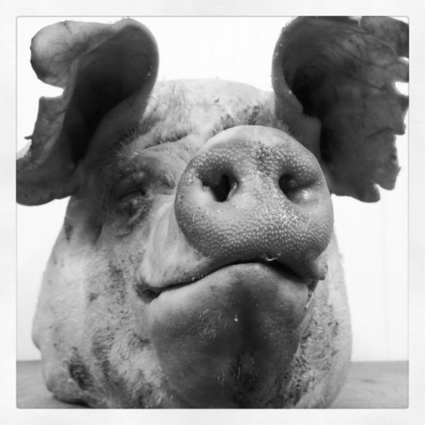 Butchery Courses